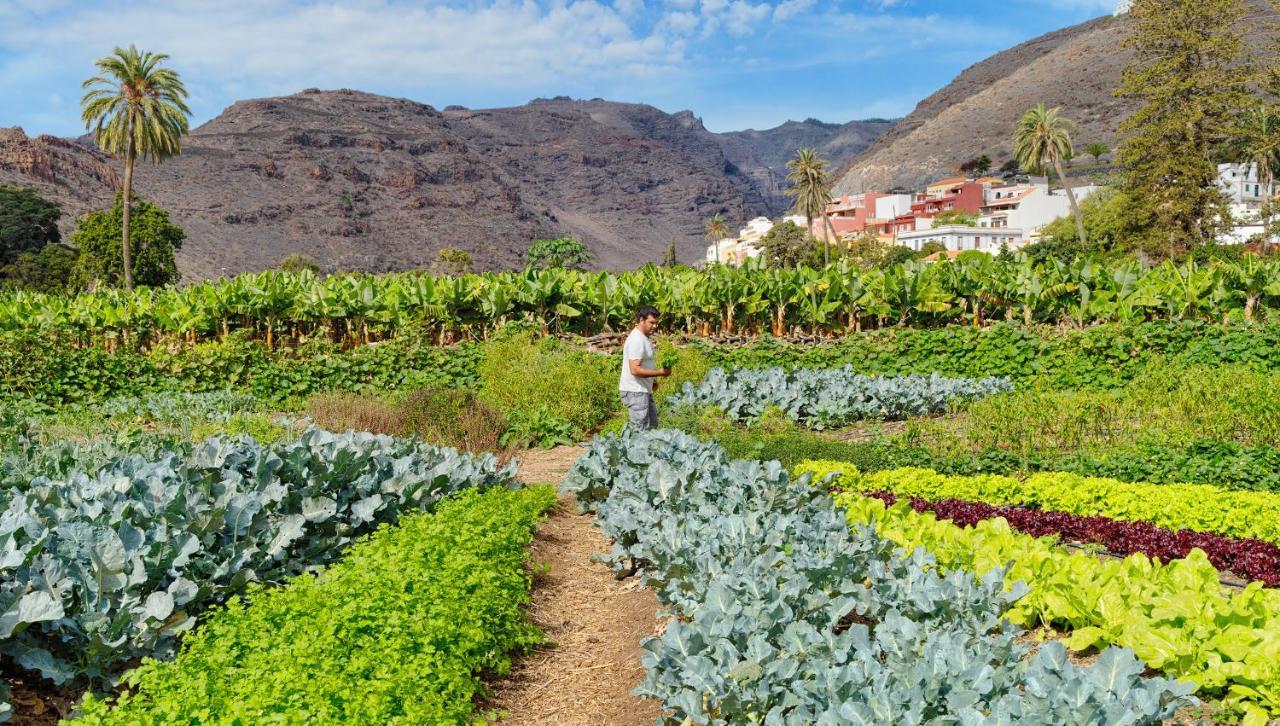 Hotel Jardín Tecina Playa de Santiago (Isla de la Gomera)